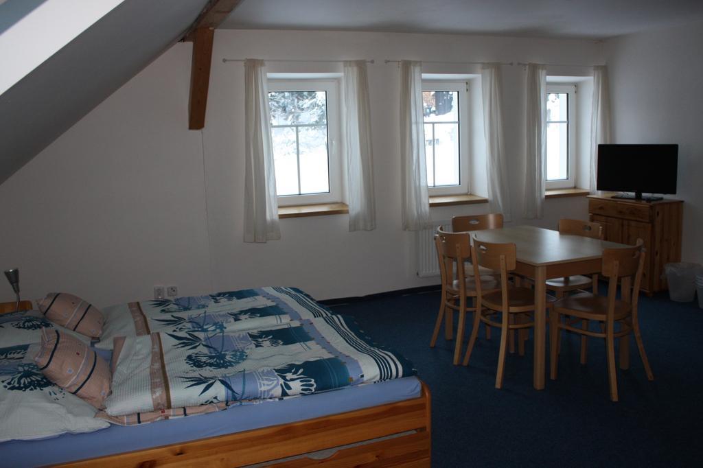 Apartmany Doma Janov nad Nisou Værelse billede
