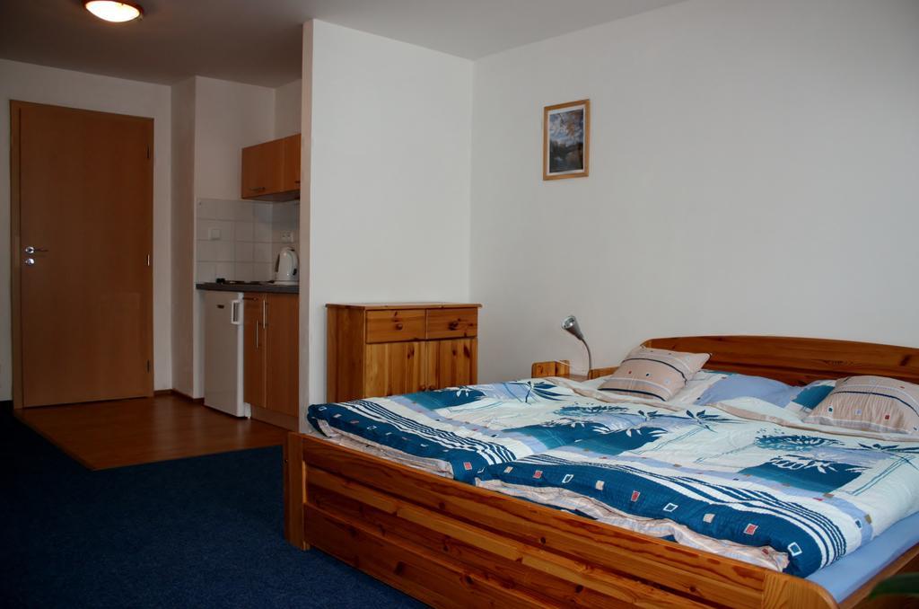 Apartmany Doma Janov nad Nisou Værelse billede